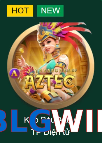 BLGWIN